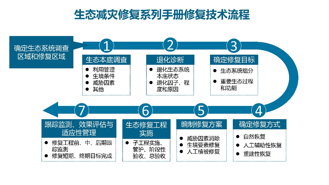 E:\業(yè)務(wù)工作-修復(fù)部\20240313 修改鹽沼修復(fù)手冊(cè)\20241105 手冊(cè)發(fā)布新聞稿+照片\7.流程圖.jpg
